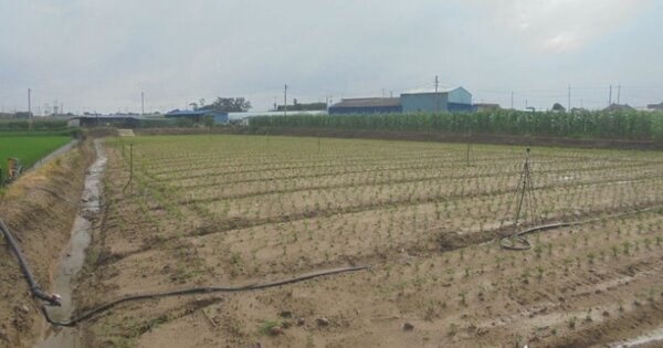전라남도 무안군 운남면 내리 OOOOO O OOO 답 경매 물건 이미지
