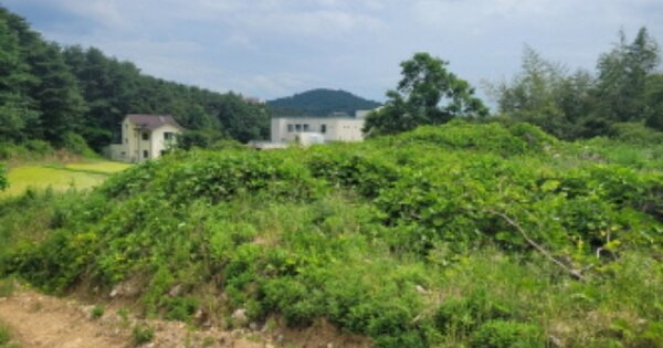 울산광역시 울주군 상북면 산전리 OO 대지 경매 물건 이미지