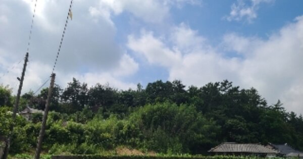 전라남도 영광군 군서면 만금리 OOOOO 임야 경매 물건 이미지