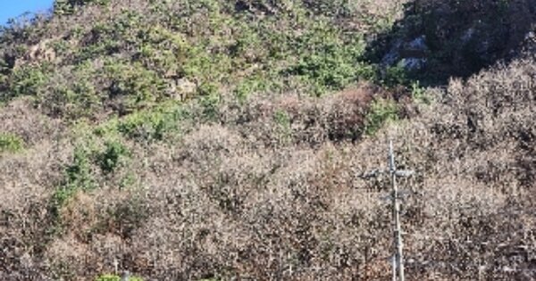 충청북도 제천시 수산면 상천리 OOO 임야 경매 물건 이미지