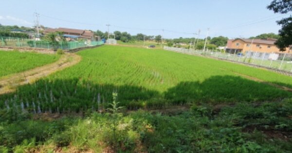 경기도 화성시 송산면 삼존리 OOOOO 답 경매 물건 이미지