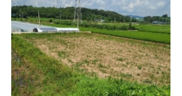 전라남도 장성군 진원면 산동리 OOOOO 답 경매 물건 이미지