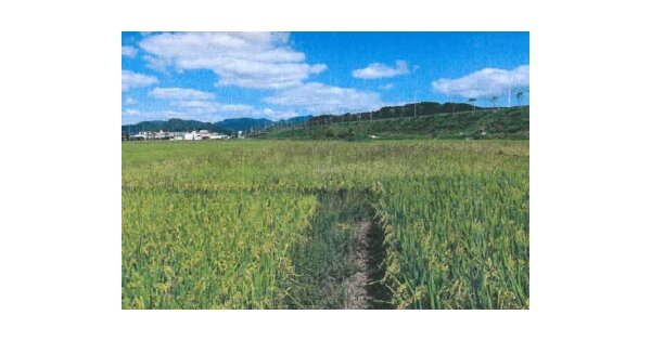 경상북도 청도군 각남면 화리 OOOOO 답 경매 물건 이미지