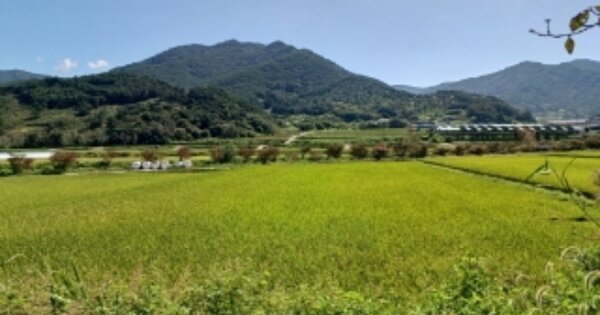 전라남도 곡성군 목사동면 동암리 OOOOO O OOO 답 경매 물건 이미지
