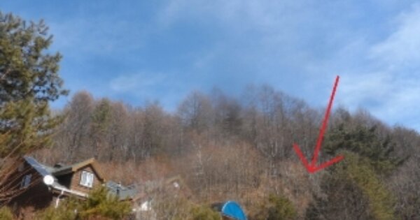 강원도 평창군 진부면 척천리 OOOOO 임야 경매 물건 이미지
