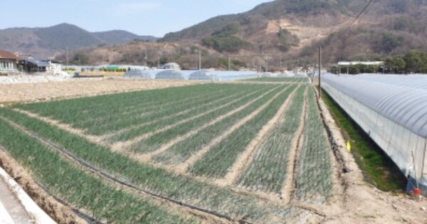 경상남도 함양군 안의면 이전리 OOOOO 답 경매 물건 이미지