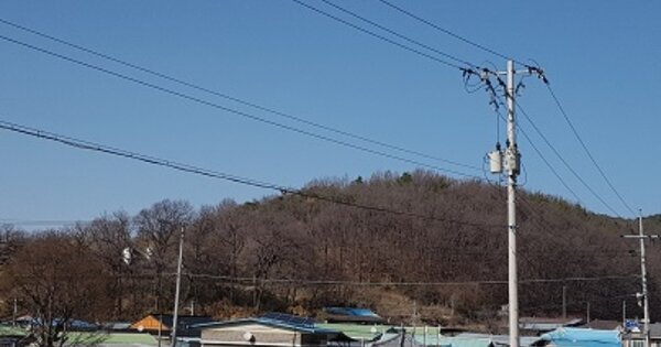 경상북도 의성군 단촌면 상화리 OOO O OOO 임야 경매 물건 이미지