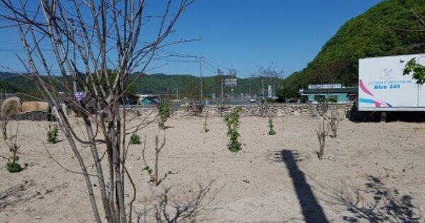 경상북도 군위군 부계면 창평리 OOOOOO O OOO 답 경매 물건 이미지