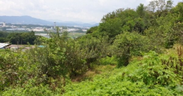 경상남도 거창군 남상면 대산리 OOOOOO 임야 경매 물건 이미지