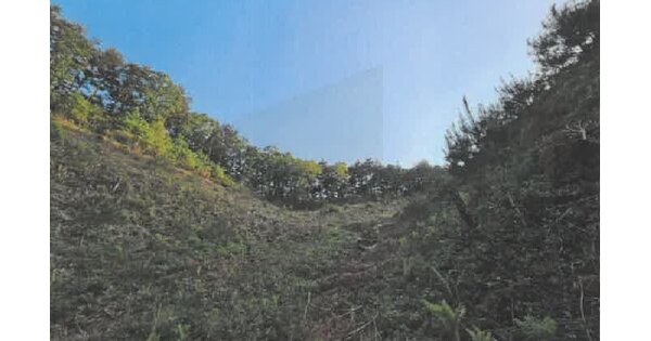 강원도 평창군 진부면 하진부리 OOOO O OOO 임야 경매 물건 이미지