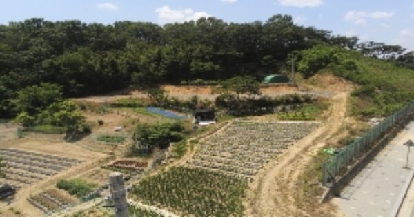 경상북도 구미시 선산읍 화조리 OOOOO 임야 경매 물건 이미지