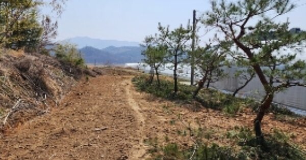 충청남도 보령시 청라면 황룡리 OOOOO O OOO 전 경매 물건 이미지