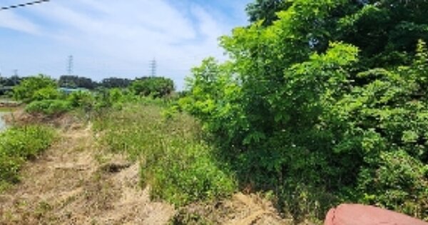 충청남도 서천군 서면 도둔리 OOO 대지 경매 물건 이미지