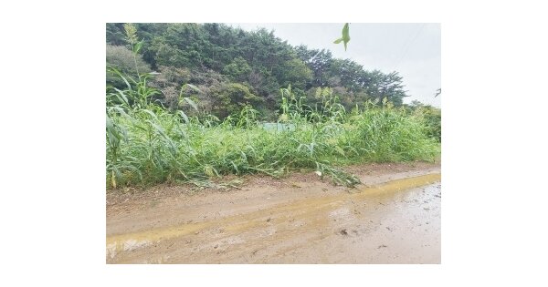 충청남도 보령시 천북면 사호리 OOO 전 경매 물건 이미지