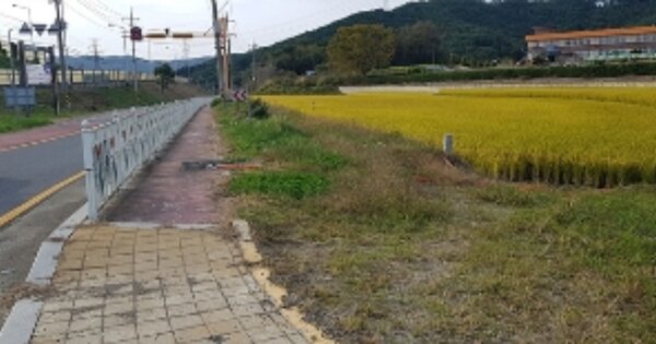 충청남도 보령시 주교면 관창리 OOOOOO 답 경매 물건 이미지