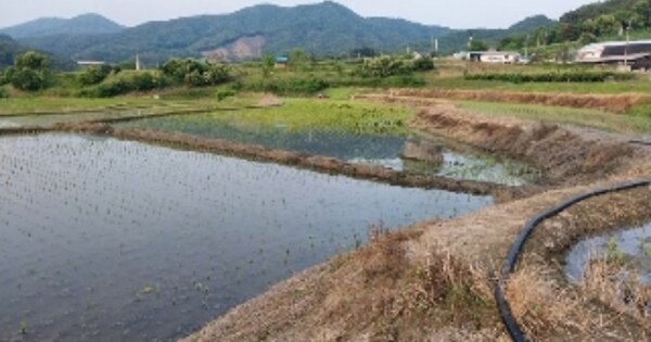 충청남도 공주시 유구읍 유구리 OOO 답 경매 물건 이미지