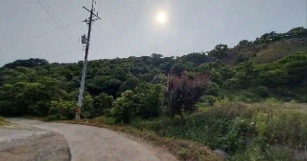 충청남도 공주시 사곡면 가교리 OOOOO 임야 경매 물건 이미지