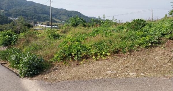 충청남도 청양군 운곡면 후덕리 OOOO O OOO 전 경매 물건 이미지