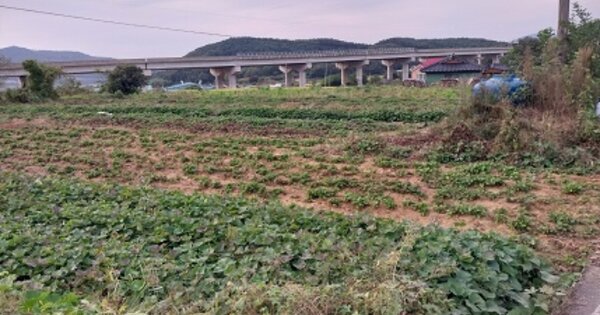 충청남도 청양군 비봉면 관산리 OOO O OOO 전 경매 물건 이미지