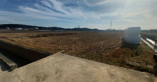 전라북도 군산시 신관동 OOOOO 답 경매 물건 이미지