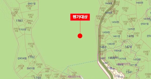 통영시 도산면 OOOO 선박 경매 물건 이미지