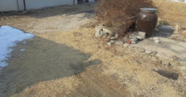 충청북도 충주시 금가면 사암리 OOOOOO 단독주택 경매 물건 이미지