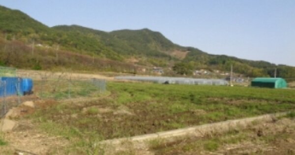 경상남도 하동군 고전면 신월리 OOOOO 답 경매 물건 이미지