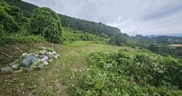 경상남도 거제시 사등면 지석리 1178  미지정 경매 물건 이미지