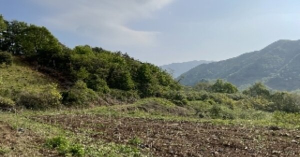 경상남도 산청군 삼장면 석남리 OOO 임야 경매 물건 이미지