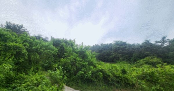 전라북도 임실군 임실읍 두만리 OOOO 임야 경매 물건 이미지