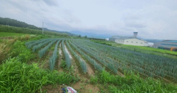 전라북도 완주군 봉동읍 율소리 OOO 답 경매 물건 이미지