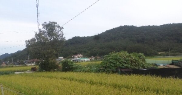 전라북도 완주군 고산면 남봉리 OOO 전 경매 물건 이미지