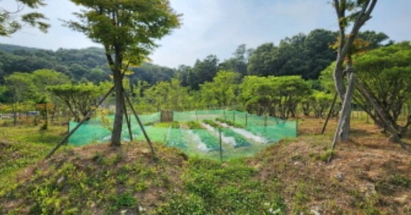 경기도 김포시 하성면 가금리 OOOO O OOO 답 경매 물건 이미지