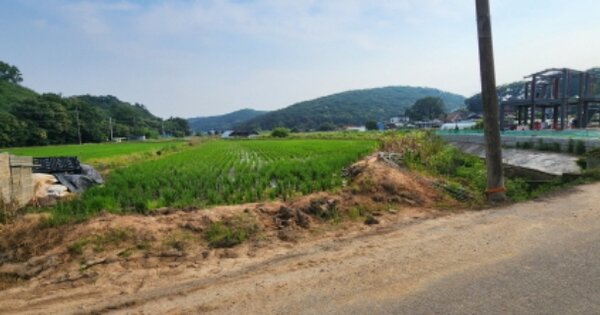 경기도 김포시 하성면 가금리 OOOOO 답 경매 물건 이미지