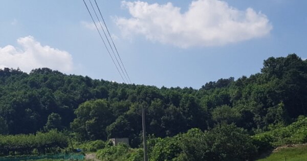 경기도 안성시 보개면 북좌리 OOO 임야 경매 물건 이미지
