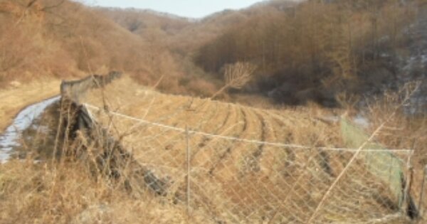 충청북도 진천군 백곡면 성대리 OOO 전 경매 물건 이미지