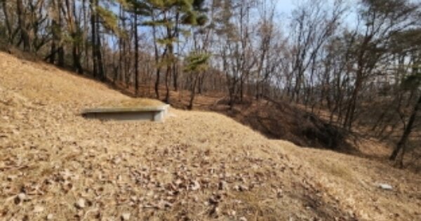 경기도 광주시 남한산성면 검복리 OOOO O OOO 임야 경매 물건 이미지