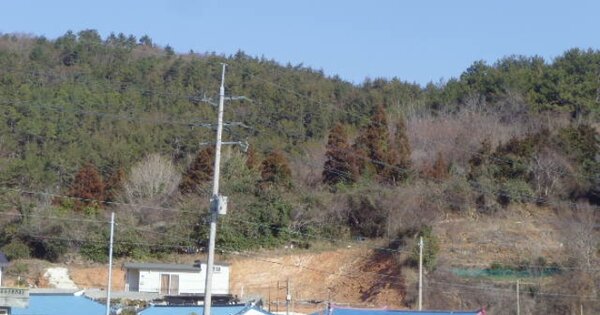 전라남도 완도군 신지면 월양리 OOO 전 경매 물건 이미지