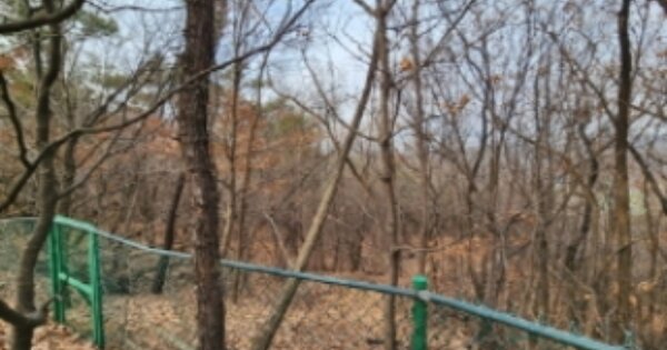 경기도 하남시 초이동 OOOOO 임야 경매 물건 이미지
