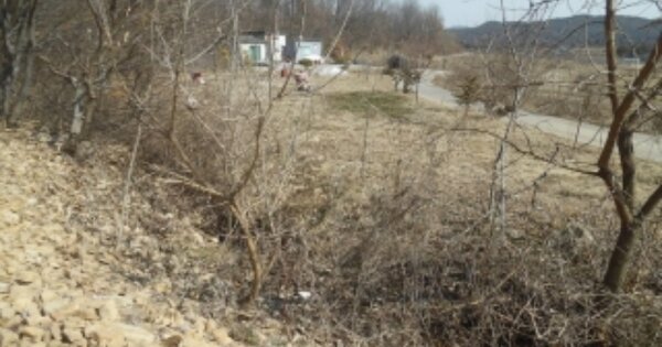 충청남도 서산시 운산면 갈산리 OOOOO 답 경매 물건 이미지