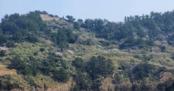 전라남도 여수시 삼산면 덕촌리 OOO O OOO 답 경매 물건 이미지