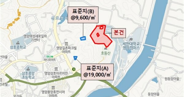전라남도 영암군 삼호읍 산호리 OOO 임야 경매 물건 이미지