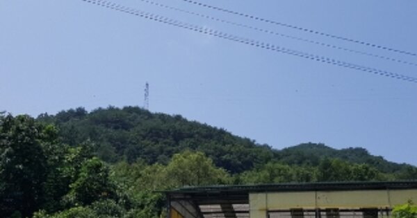 강원특별자치도 화천군 화천읍 풍산리 OOOOOO O OOO 임야 경매 물건 이미지