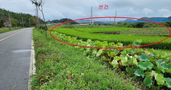 전라남도 신안군 하의면 오림리 OOOOOO 답 경매 물건 이미지
