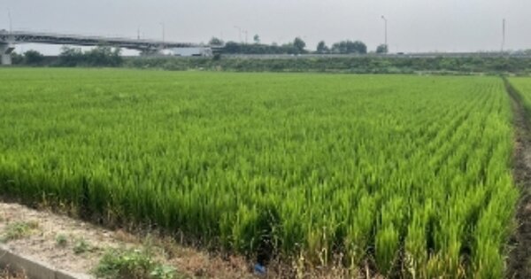 충청북도 청주시 흥덕구 옥산면 남촌리 OOOOO O OOO 전 경매 물건 이미지