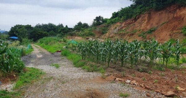 충청북도 청주시 상당구 가덕면 국전리 OOOOO O OOO 전 경매 물건 이미지