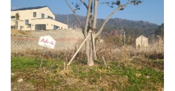 전라남도 나주시 대호동 OOOO 대지 경매 물건 이미지