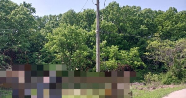 경기도 파주시 장단면 노하리 OOO 임야 경매 물건 이미지