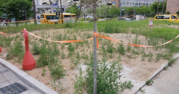 경기도 파주시 동패동 OOOO 대지 경매 물건 이미지