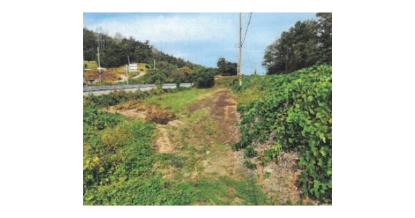 전라남도 나주시 세지면 성산리 OOOOO 답 경매 물건 이미지